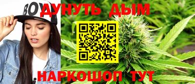 молекула духа Камышлов