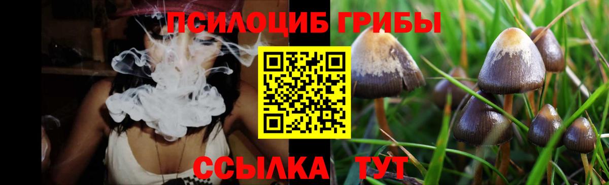 Урус-Мартан  Галлюциногенные грибы прущие грибы  Вход с VPN  Галлюциногенные грибы прущие грибы 